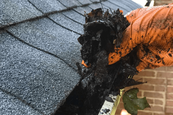 Gutter Cleaning service in Knoxville TN 2